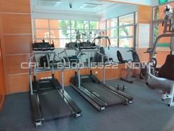 Thomson Euro-asia (D11), Condominium #130200602